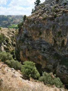 Venerato Gorge  - CRETE