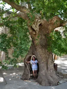 Vrontissi Monastery  - CRETE