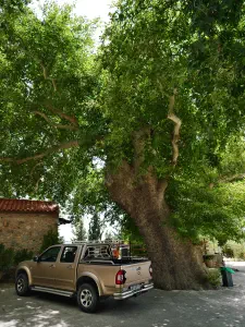 Vrontissi Monastery  - CRETE