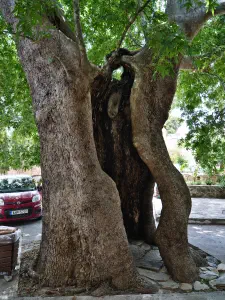 Vrontissi Monastery  - CRETE