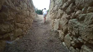 Achladia Minoan Tholos Tomb  - CRETE