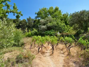 Agios Georgios Church - Kalamafka  - CRETE