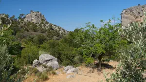 Agios Georgios Church - Kalamafka  - CRETE