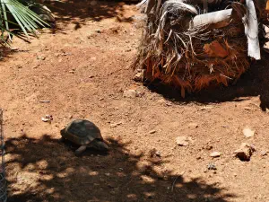 Amazonas Park  - CRETE