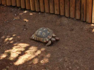 Amazonas Park  - CRETE