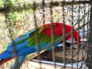 Amazonas Park  - CRETE