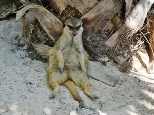 Amazonas Park  - CRETE