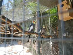 Amazonas Park  - CRETE