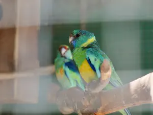 Amazonas Park  - CRETE