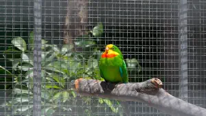 Amazonas Park  - CRETE