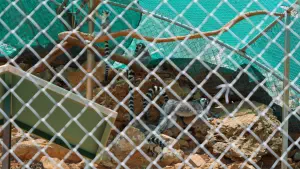 Amazonas Park  - CRETE