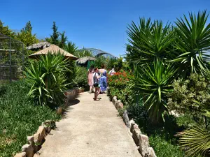 Amazonas Park  - CRETE