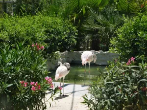 Amazonas Park  - CRETE