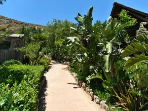 Amazonas Park  - CRETE