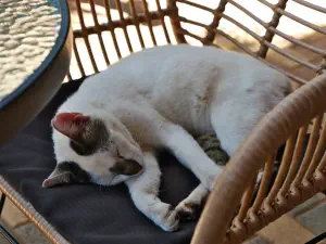 Amazonas Park  - CRETE