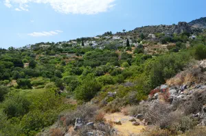 Anatoli  - CRETE