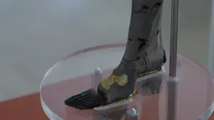 Palaikastro Kouros Archaeological Museum Sitia  - CRETE