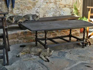 Areti Monastery  - CRETE