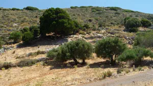 Areti Monastery  - CRETE