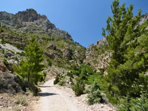 Butterfly (Orino) Gorge  - CRETE