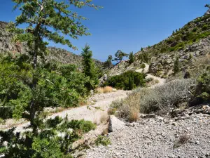 Butterfly (Orino) Gorge  - CRETE
