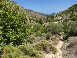 Butterfly (Orino) Gorge  - CRETE