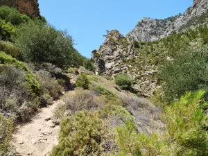 Butterfly (Orino) Gorge  - CRETE
