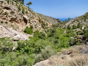 Butterfly (Orino) Gorge  - CRETE