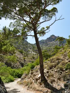 Butterfly (Orino) Gorge  - CRETE