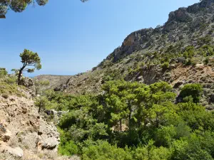 Butterfly (Orino) Gorge  - CRETE