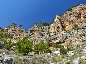 Butterfly (Orino) Gorge  - CRETE
