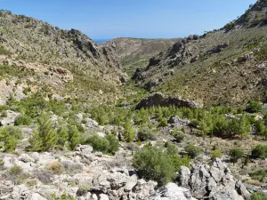 Butterfly (Orino) Gorge  - CRETE