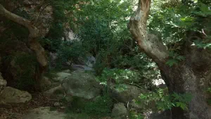 Butterfly (Orino) Gorge - Peristeriona Waterfalls  - CRETE