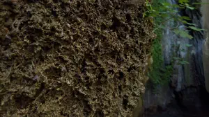 Butterfly (Orino) Gorge - Peristeriona Waterfalls  - CRETE