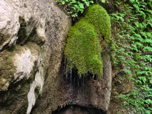 Butterfly (Orino) Gorge - Peristeriona Waterfalls  - CRETE