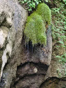 Butterfly (Orino) Gorge - Peristeriona Waterfalls  - CRETE