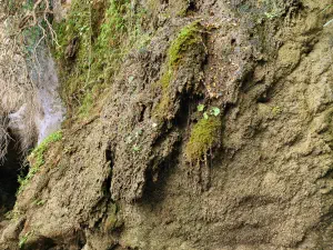 Butterfly (Orino) Gorge - Peristeriona Waterfalls  - CRETE