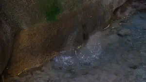 Butterfly (Orino) Gorge - Peristeriona Waterfalls  - CRETE