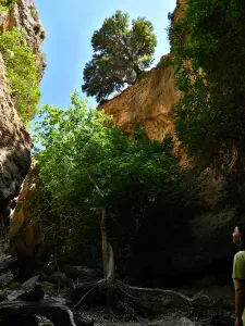 Butterfly (Orino) Gorge - Peristeriona Waterfalls  - CRETE