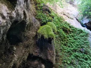 Butterfly (Orino) Gorge - Peristeriona Waterfalls  - CRETE