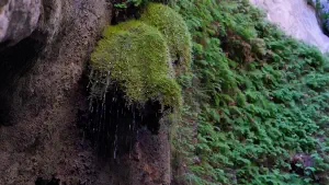 Butterfly (Orino) Gorge - Peristeriona Waterfalls  - CRETE
