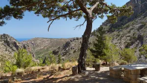 Butterfly (Orino) Gorge - Sotiros Christos Church  - CRETE