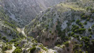 Chavgas Gorge  - CRETE