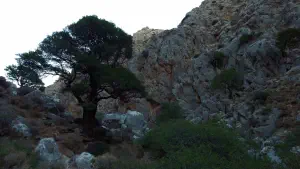 Chochlakies Gorge  - CRETE