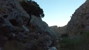 Chochlakies Gorge  - CRETE