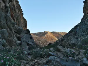 Chochlakies Gorge  - CRETE