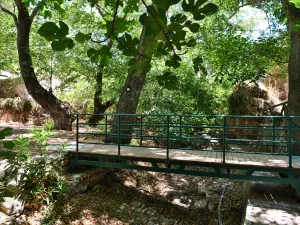 Epano Zakros Spring  - CRETE