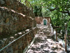 Epano Zakros Spring  - CRETE