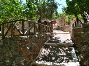 Epano Zakros Spring  - CRETE