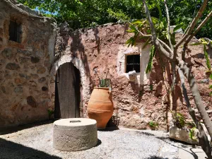 Epano Zakros Spring  - CRETE